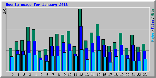 Hourly usage for January 2013