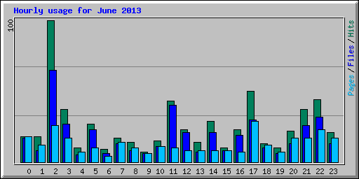 Hourly usage for June 2013