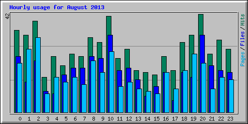 Hourly usage for August 2013