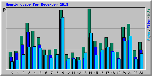 Hourly usage for December 2013