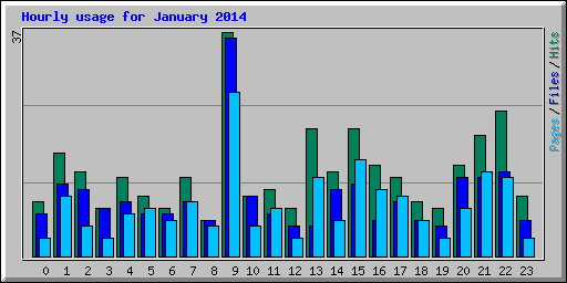 Hourly usage for January 2014