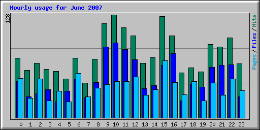 Hourly usage for June 2007