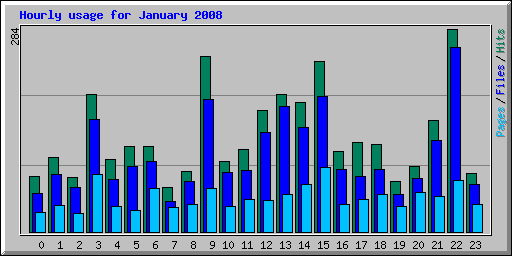 Hourly usage for January 2008