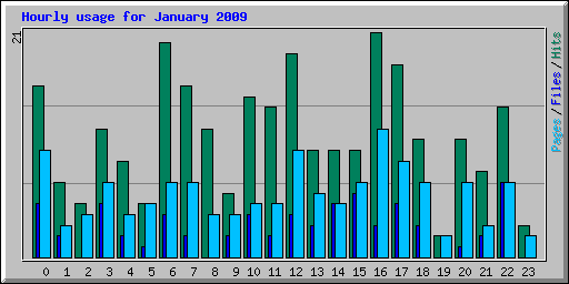 Hourly usage for January 2009