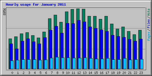 Hourly usage for January 2011