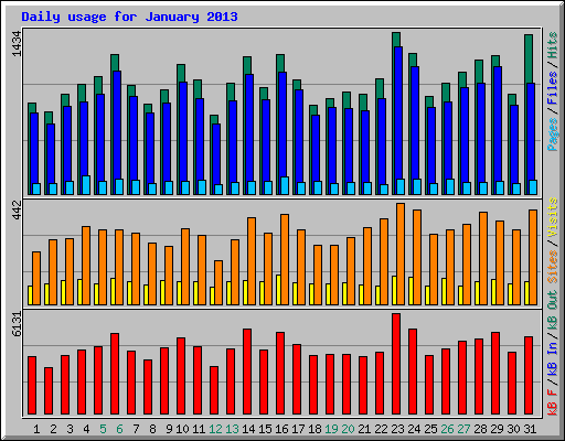 Daily usage for January 2013