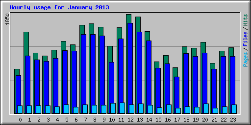 Hourly usage for January 2013