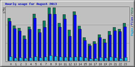 Hourly usage for August 2013