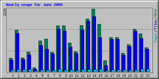Hourly usage for June 2009