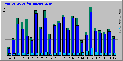 Hourly usage for August 2009