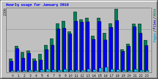 Hourly usage for January 2010