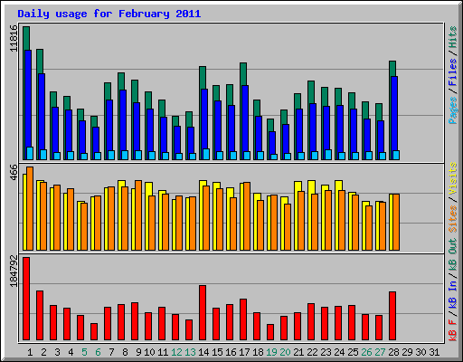 Daily usage for February 2011