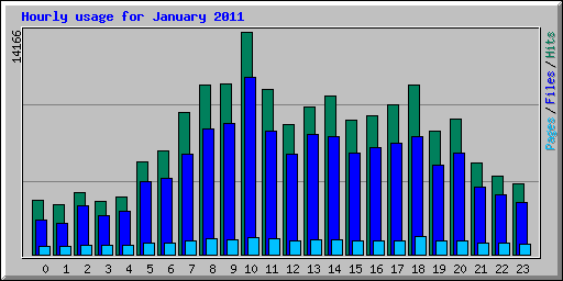 Hourly usage for January 2011