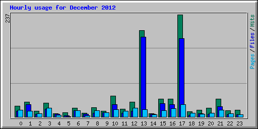 Hourly usage for December 2012