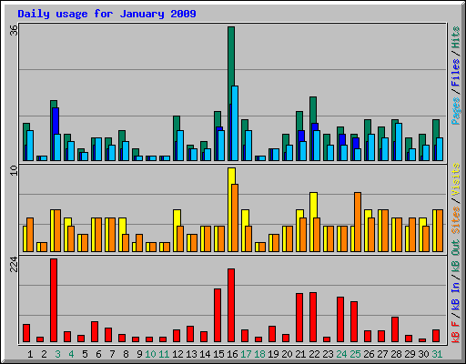 Daily usage for January 2009