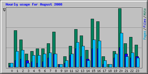 Hourly usage for August 2008