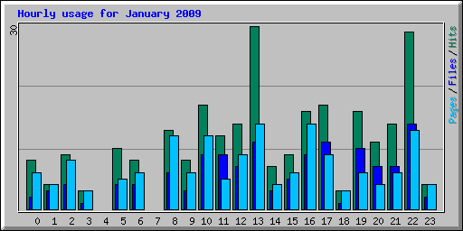Hourly usage for January 2009