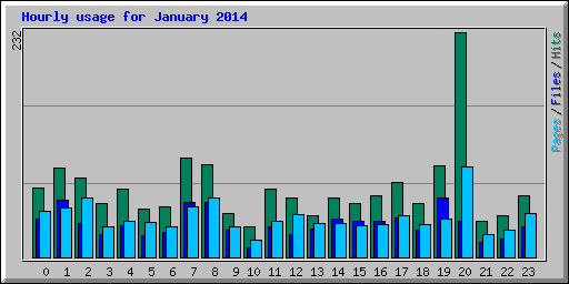 Hourly usage for January 2014