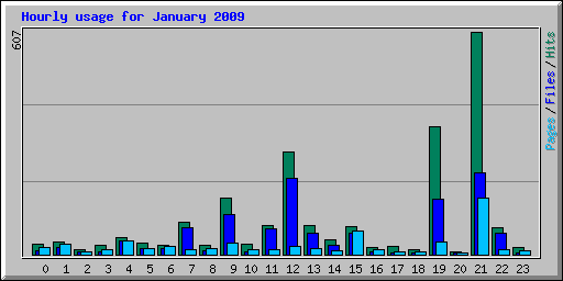 Hourly usage for January 2009