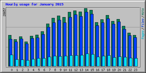 Hourly usage for January 2015