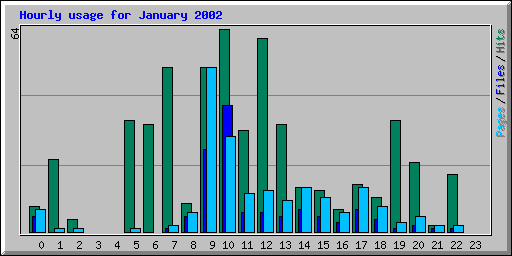 Hourly usage for January 2002